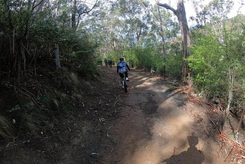 Explore Downhill Mountain In 3-Hour Bike Tour From Hobart - Accommodation BNB 3