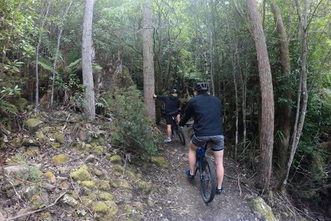 Explore Downhill Mountain In 3-Hour Bike Tour From Hobart - Accommodation BNB 4