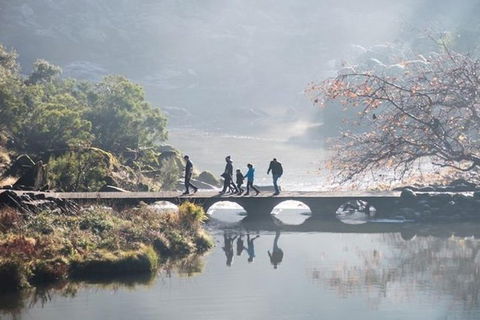 3.5 Hours Walking Tour To Cataract Gorge With Local Guide - Accommodation BNB 0