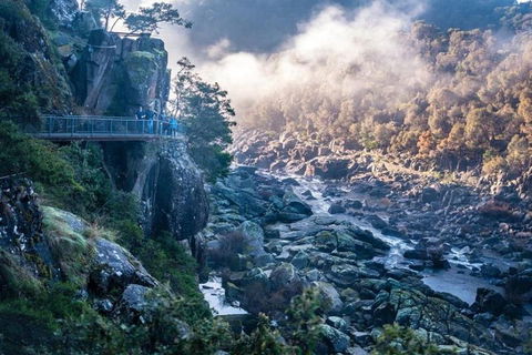 3.5 Hours Walking Tour To Cataract Gorge With Local Guide - Accommodation BNB 1