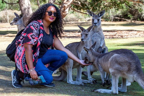 3-Day Tasmania Combo: Hobart To Launceston Active Tour - Accommodation BNB 5