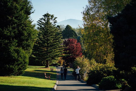 Private Royal Tasmanian Botanical Gardens Walking Tour - Accommodation BNB 1