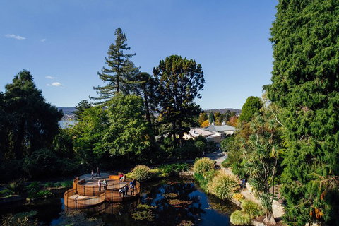 Private Royal Tasmanian Botanical Gardens Walking Tour - Accommodation BNB 3