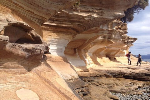 Hobart Minibus Full-Day Private Tour - Accommodation BNB 0