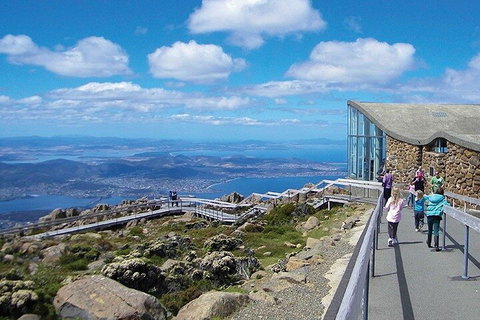 Mt Wellington Tour And MONA Admission - Accommodation BNB 1
