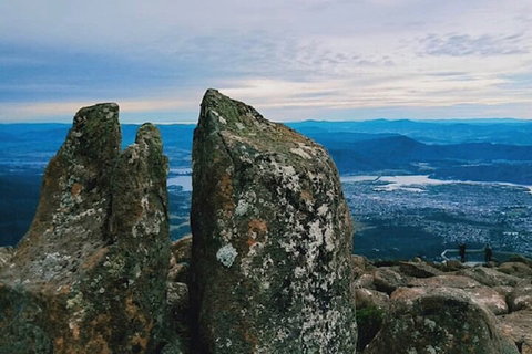 Mt Wellington Tour And MONA Admission - Accommodation BNB 2
