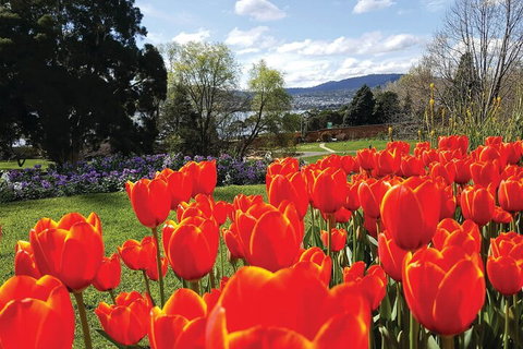 Hobart Half-Day Sightseeing Coach Tram Tour - Accommodation BNB 4