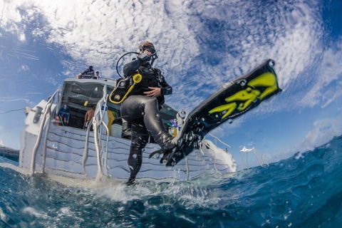 Silverswift Outer Great Barrier Reef Dive And Snorkel Cruise From Cairns - Accommodation BNB 1