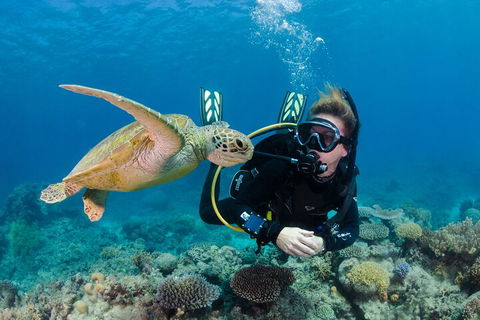 Silverswift Outer Great Barrier Reef Dive And Snorkel Cruise From Cairns - Accommodation BNB 2