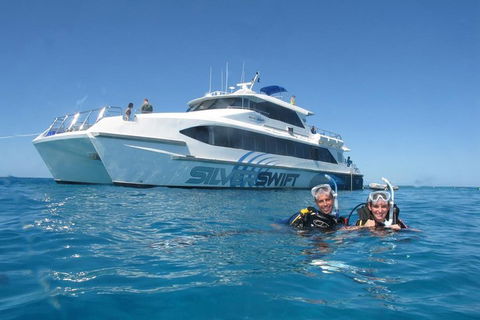 Silverswift Outer Great Barrier Reef Dive And Snorkel Cruise From Cairns - Accommodation BNB 4