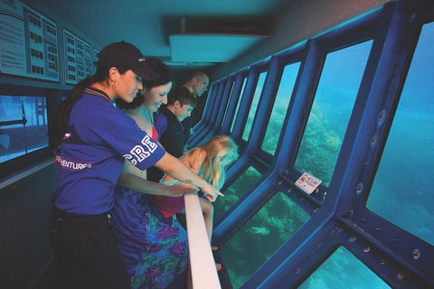 Great Barrier Reef Adventure From Cairns - Accommodation BNB 0