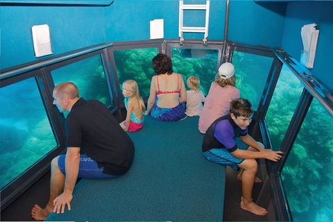 Great Barrier Reef Adventure From Cairns - Accommodation BNB 1
