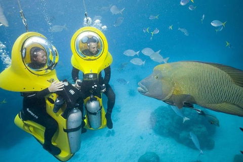 Great Barrier Reef Adventure From Cairns - Accommodation BNB 2