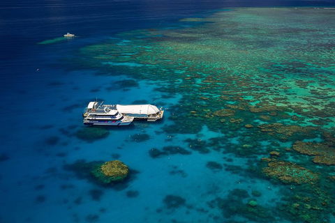 Great Barrier Reef Adventure From Cairns - Accommodation BNB 4