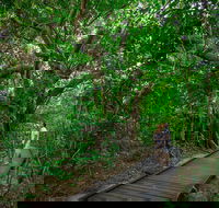 Green Island Eco Adventure from Cairns - Accommodation BNB