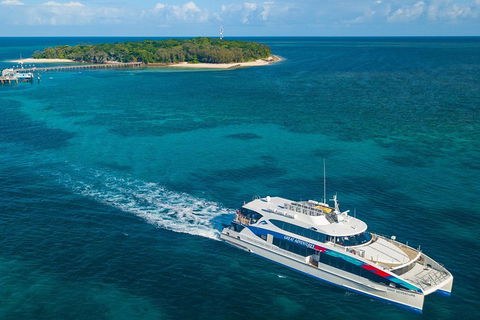 Green Island Eco Adventure From Cairns - Accommodation BNB 1