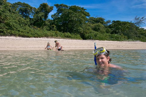Green Island Eco Adventure From Cairns - Accommodation BNB 3