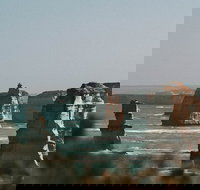 Half-Day or Full-Day Tour with Private Guide from Melbourne - Accommodation BNB