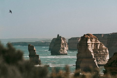 Half-Day Or Full-Day Tour With Private Guide From Melbourne - Accommodation BNB 0