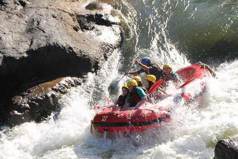 Barron Gorge National Park Half-Day White Water Rafting From Cairns Or Port Douglas - Accommodation BNB 2