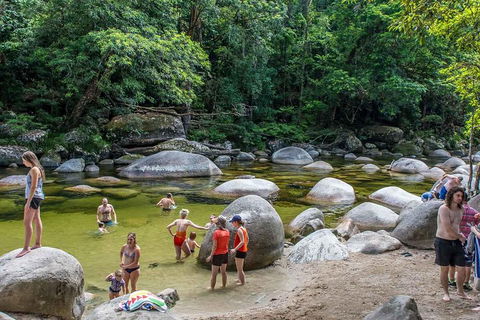 Cape Tribulation, Mossman Gorge, And Daintree Rainforest Day Trip From Cairns Or Port Douglas - Accommodation BNB 1