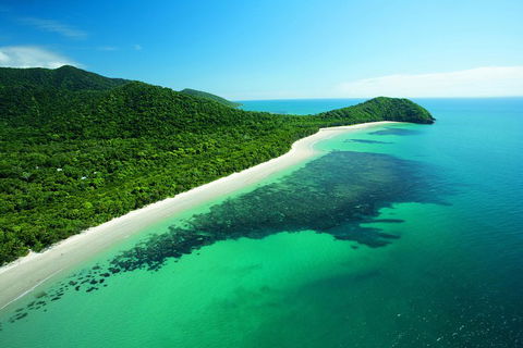 Cape Tribulation, Mossman Gorge, And Daintree Rainforest Day Trip From Cairns Or Port Douglas - Accommodation BNB 2