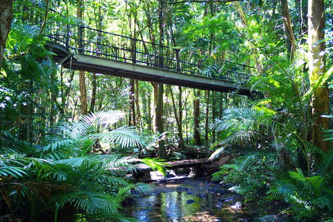 Cape Tribulation, Mossman Gorge, And Daintree Rainforest Day Trip From Cairns Or Port Douglas - Accommodation BNB 3