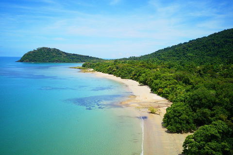 Cape Tribulation, Mossman Gorge, And Daintree Rainforest Day Trip From Cairns Or Port Douglas - Accommodation BNB 5
