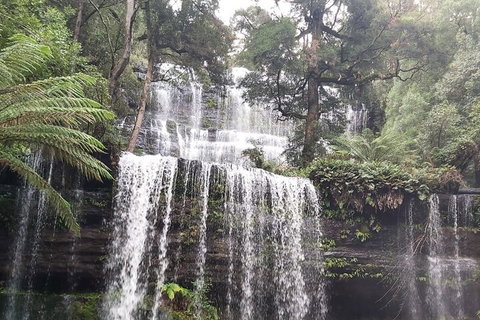 6-Day Hearty Tasmania Tour (Tasmania In A Circle) - Accommodation BNB 0