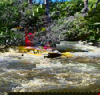 Yarra River Half-Day Rafting Experience - Accommodation BNB
