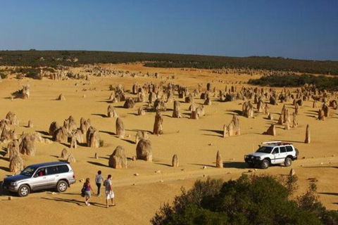 1-Day Pinnacles And Yanchep Tour From Perth Including Fish And Chips Lunch - Accommodation BNB 0