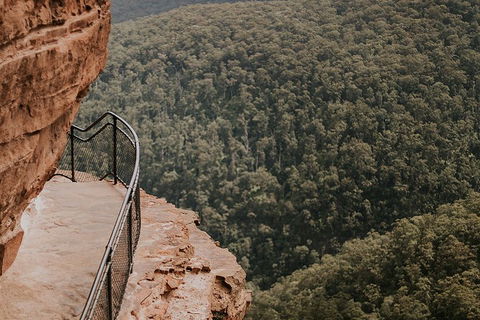 Private Blue Mountains And Wildlife Park Tour From Sydney With Barbecue Lunch - Accommodation BNB 5