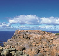 4 Day Tour Albany Margaret River Valley of the Giants TreeTop Walk from Perth
