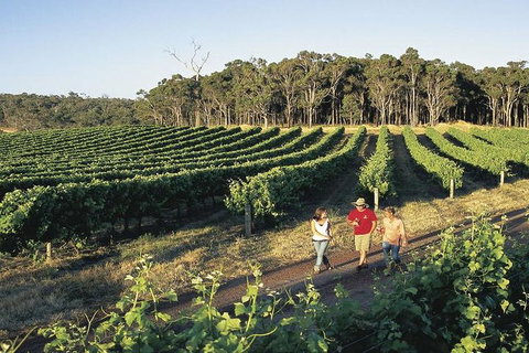 2-Day Margaret River Wine Experience From Perth - Accommodation BNB 3