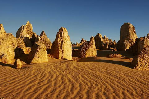 Full Day Pinnacle Desert Explorer From Perth Including Hillarys And Lancelin Sandboarding - Accommodation BNB 3