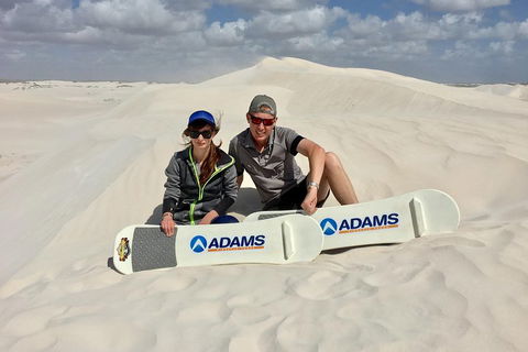 Full Day Pinnacle Desert Explorer From Perth Including Hillarys And Lancelin Sandboarding - Accommodation BNB 4