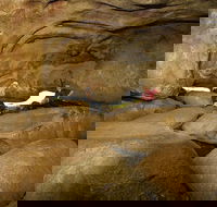 2-Day Wave Rock York Wildflowers  Aboriginal Experience - Accommodation BNB