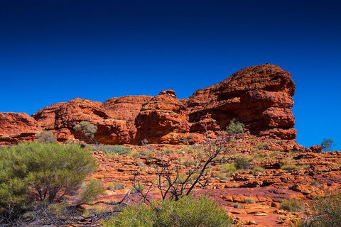 7-Day Guided Tour Of Alice Springs With Accommodation Included - Accommodation BNB 4