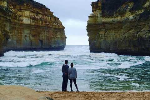 Great Ocean Road Small-Group Ecotour From Melbourne - Accommodation BNB 1