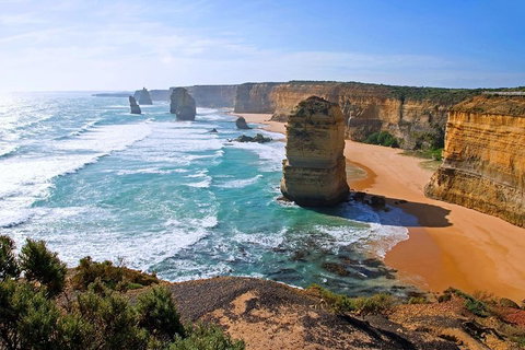 Great Ocean Road Small-Group Ecotour From Melbourne - Accommodation BNB 2