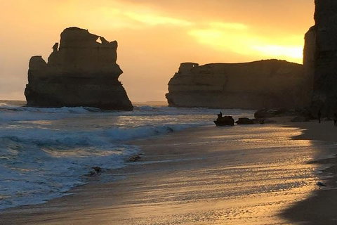 Great Ocean Road Small-Group Ecotour From Melbourne - Accommodation BNB 5