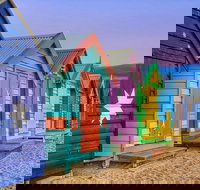 Phillip Island Penguin Brighton Beach Moonlit Sanctuary from Melbourne - Accommodation BNB