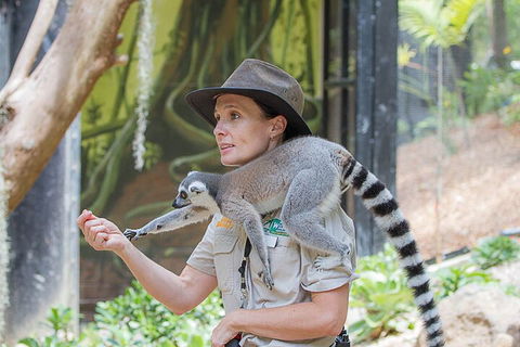 Currumbin Wildlife Sanctuary General Entry Ticket - Accommodation BNB 1