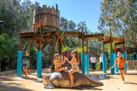 Currumbin Wildlife Sanctuary General Entry Ticket - Accommodation BNB 5
