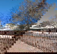 Private Cultural and Historical Painted Desert Tour in Hermannsburg - Accommodation BNB