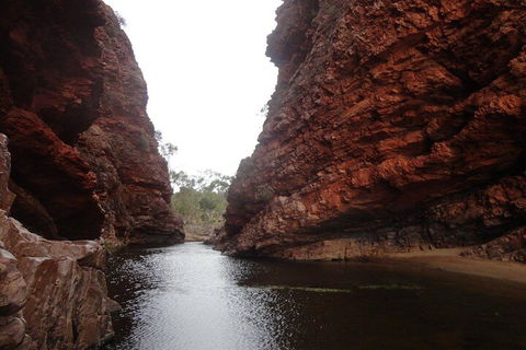 West MacDonnell Ranges Half - Day Tour - Accommodation BNB 4