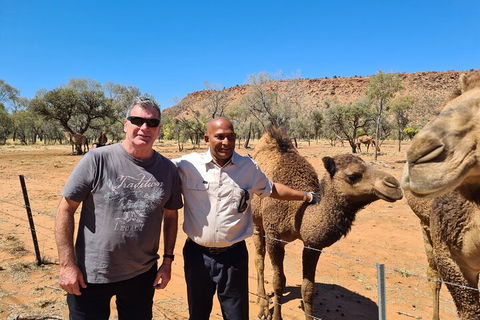 West MacDonnell Ranges Half-Day Small-Group Tour With Camel Ride - Accommodation BNB 1