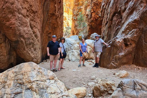West MacDonnell Ranges Half-Day Small-Group Tour With Camel Ride - Accommodation BNB 4