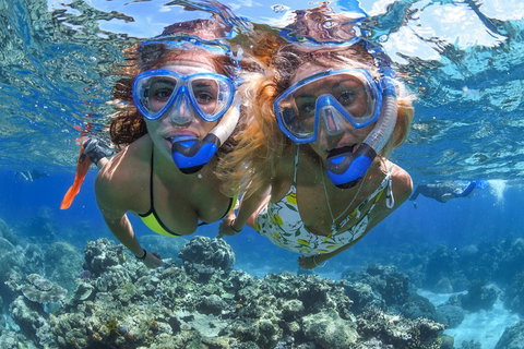Great Barrier Reef Snorkeling And Diving Cruise From Cairns - Accommodation BNB 3