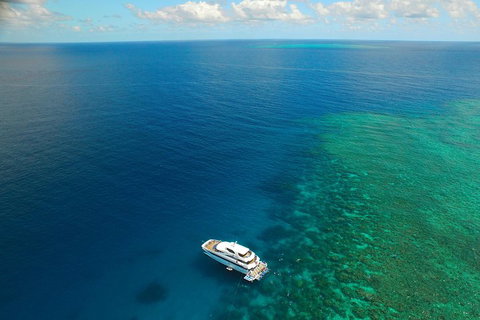 Great Barrier Reef Snorkeling And Diving Cruise From Cairns - Accommodation BNB 4